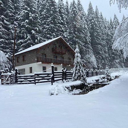 Chiba Chalet Timisu de Jos Buitenkant foto