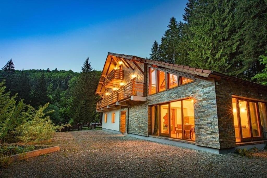 Chiba Chalet Timisu de Jos Buitenkant foto