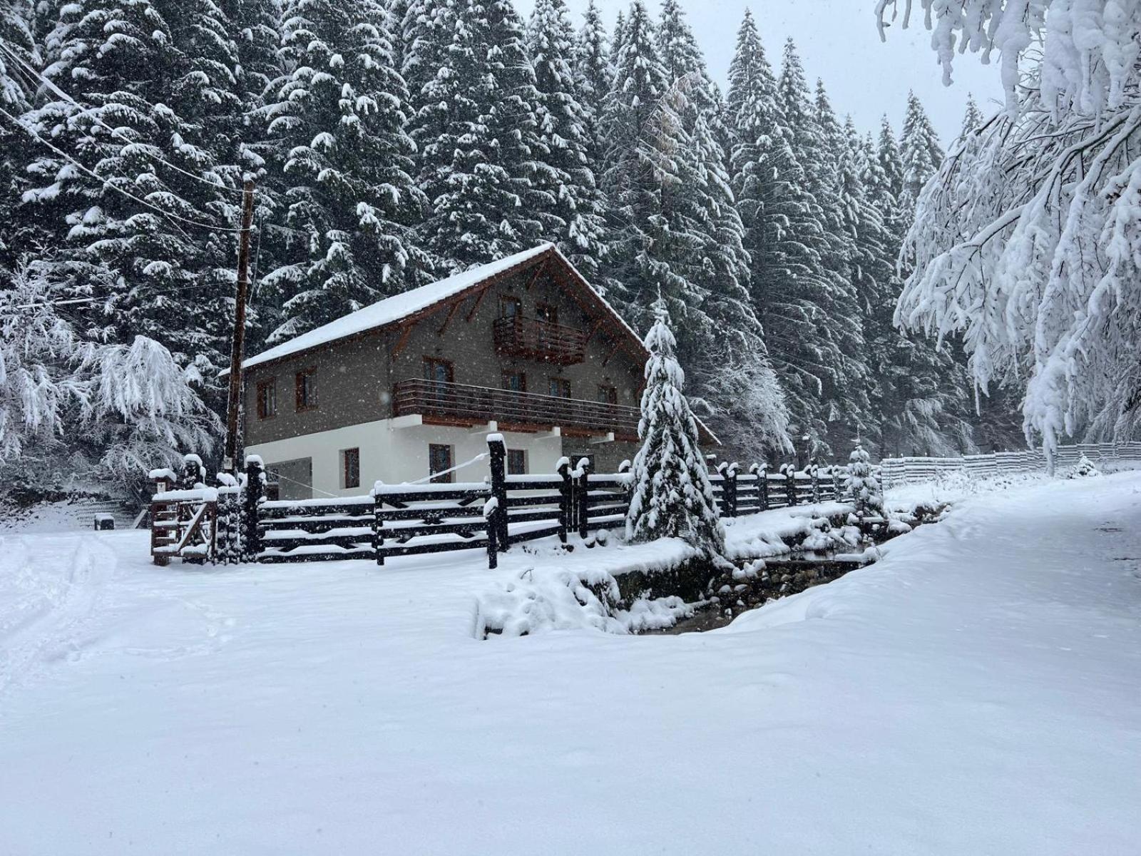 Chiba Chalet Timisu de Jos Buitenkant foto