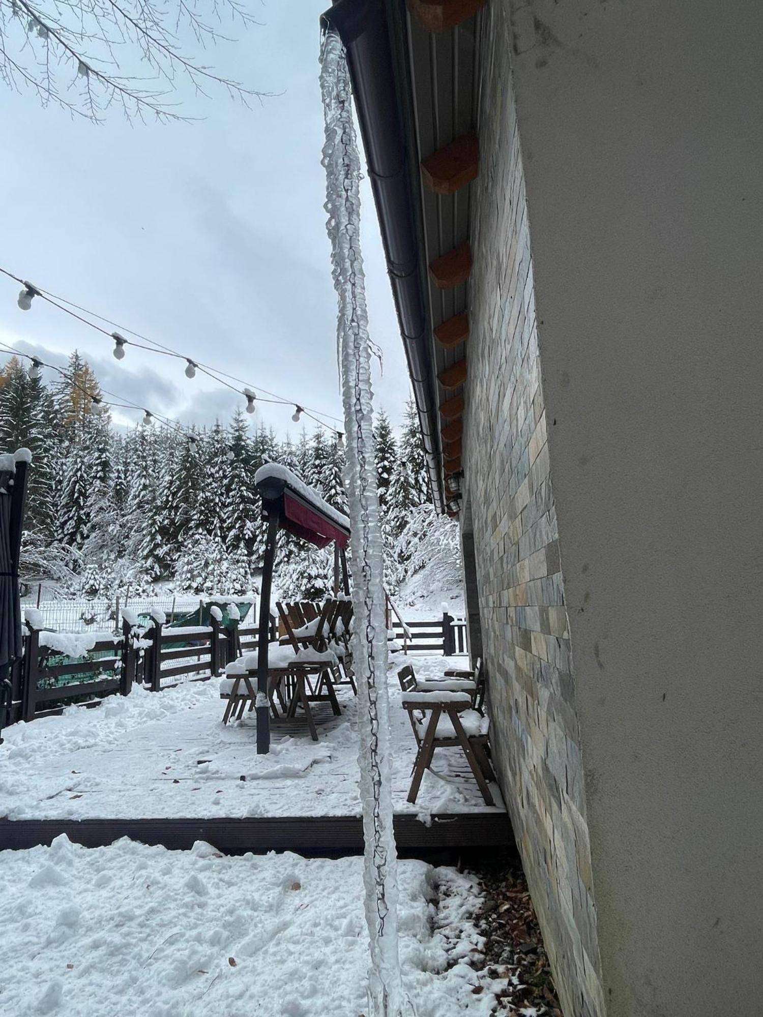 Chiba Chalet Timisu de Jos Buitenkant foto