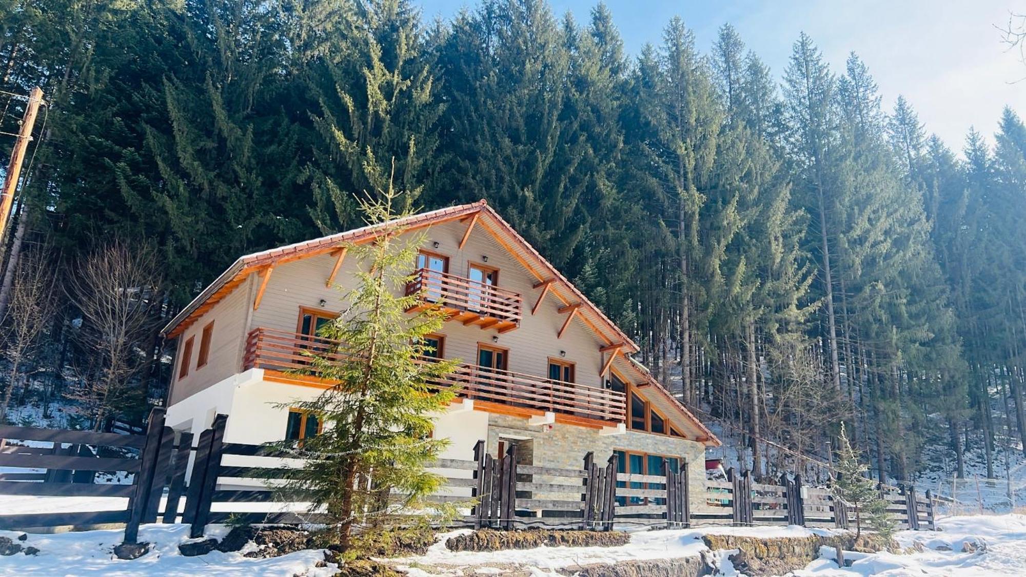 Chiba Chalet Timisu de Jos Buitenkant foto