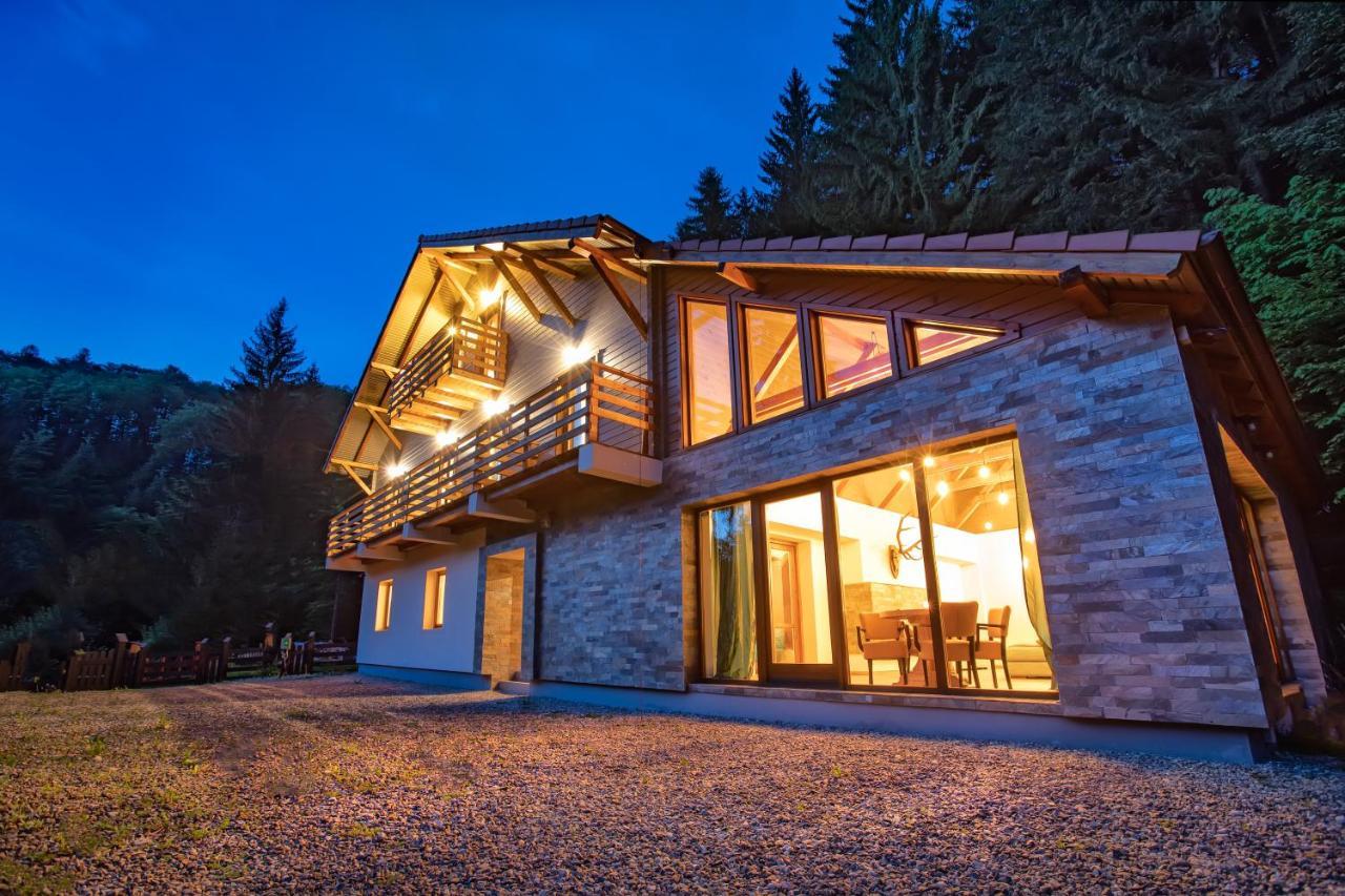 Chiba Chalet Timisu de Jos Buitenkant foto
