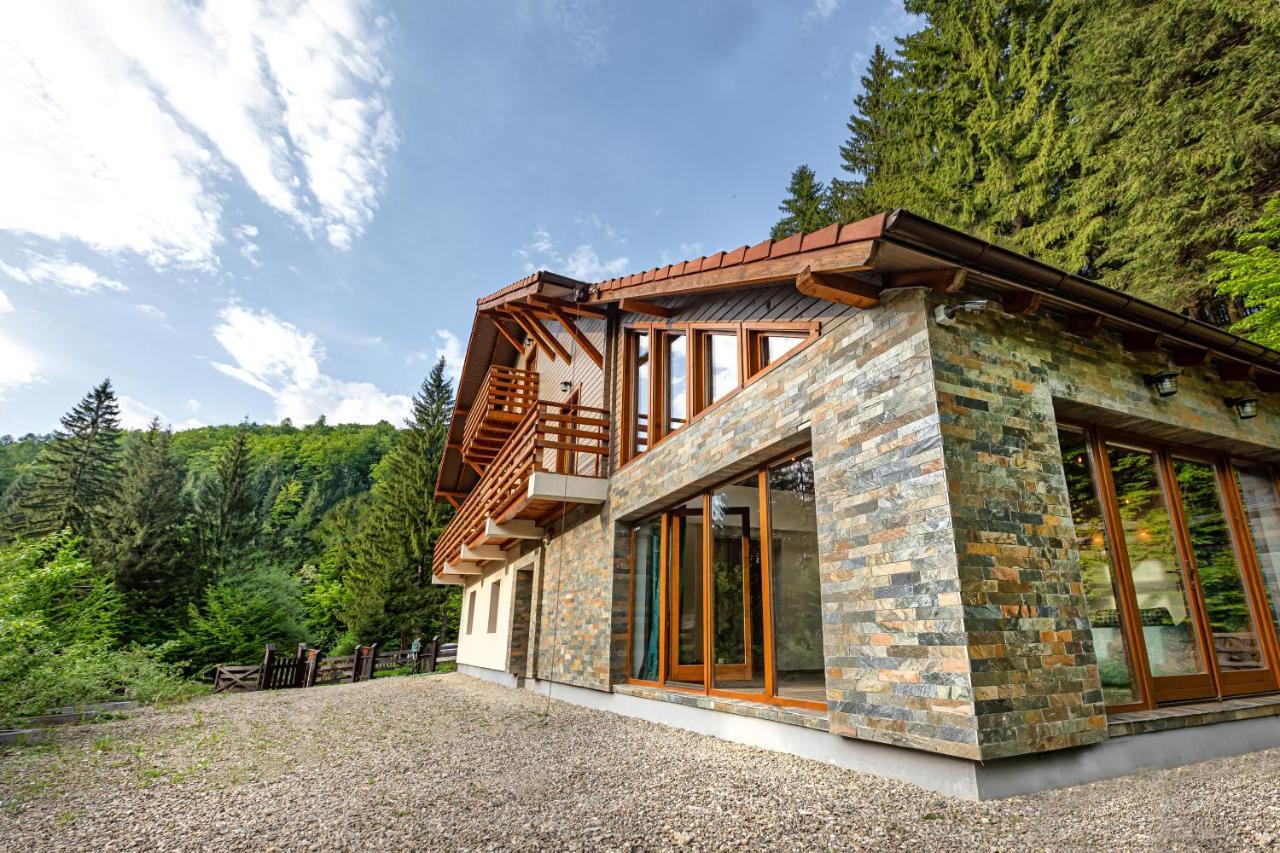 Chiba Chalet Timisu de Jos Buitenkant foto